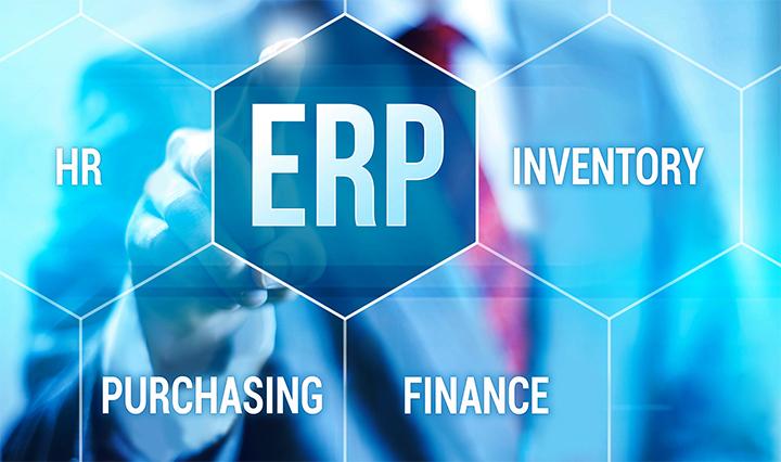 ERP Systems Section